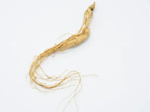 Premium 6-Year-Old Whole Korean Ginseng Root